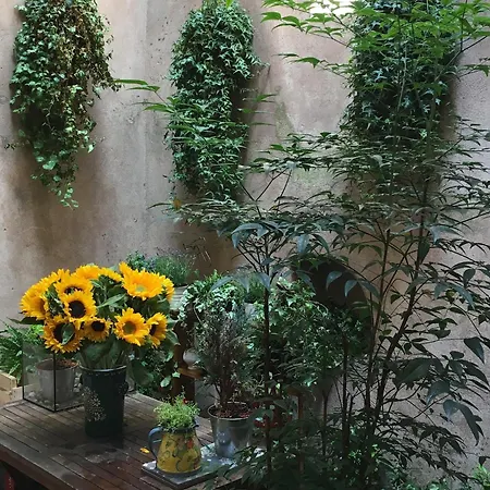 Triplex Avec Terrasse, Aux Pieds De La Cathedrale, 5 Personnes Apartment